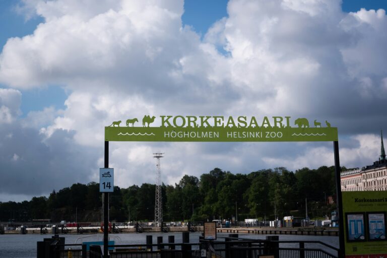 Henkilökuvaus puhelimella – vinkit luonnollisiin muotokuviin