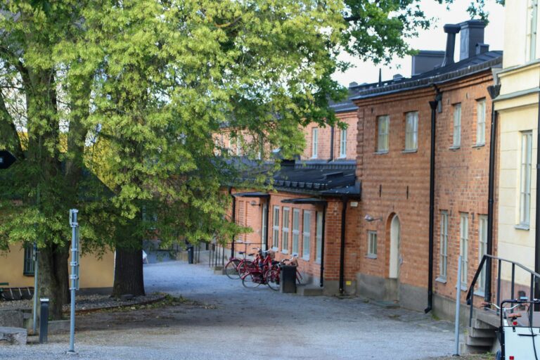 Reijon kuvasivut, kaunis maisema järven rannalla auringonlaskun aikaan.